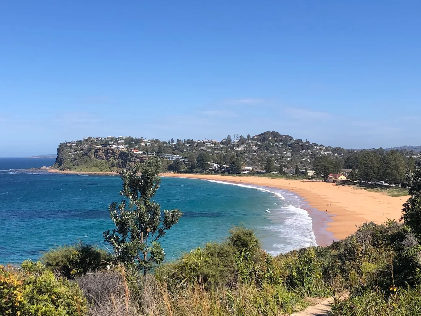 Breathtaking Sydney Proposal Locations