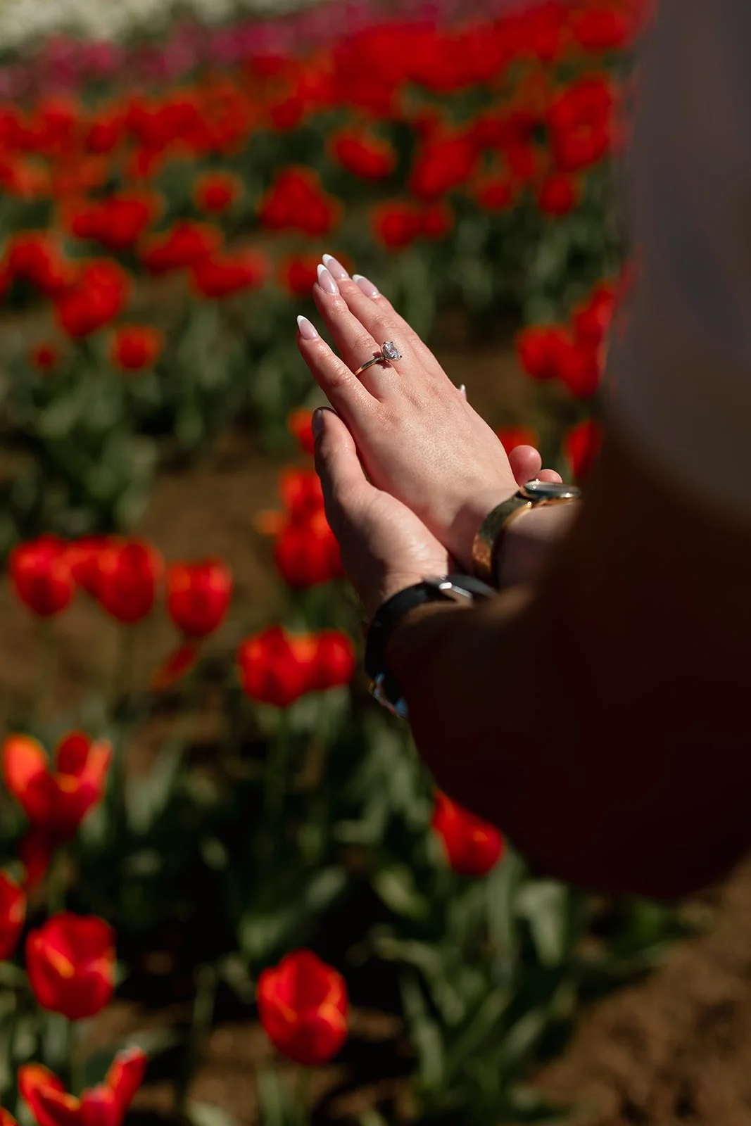 Proposal photographer capturing couple amongst colourful tulips in Silvan