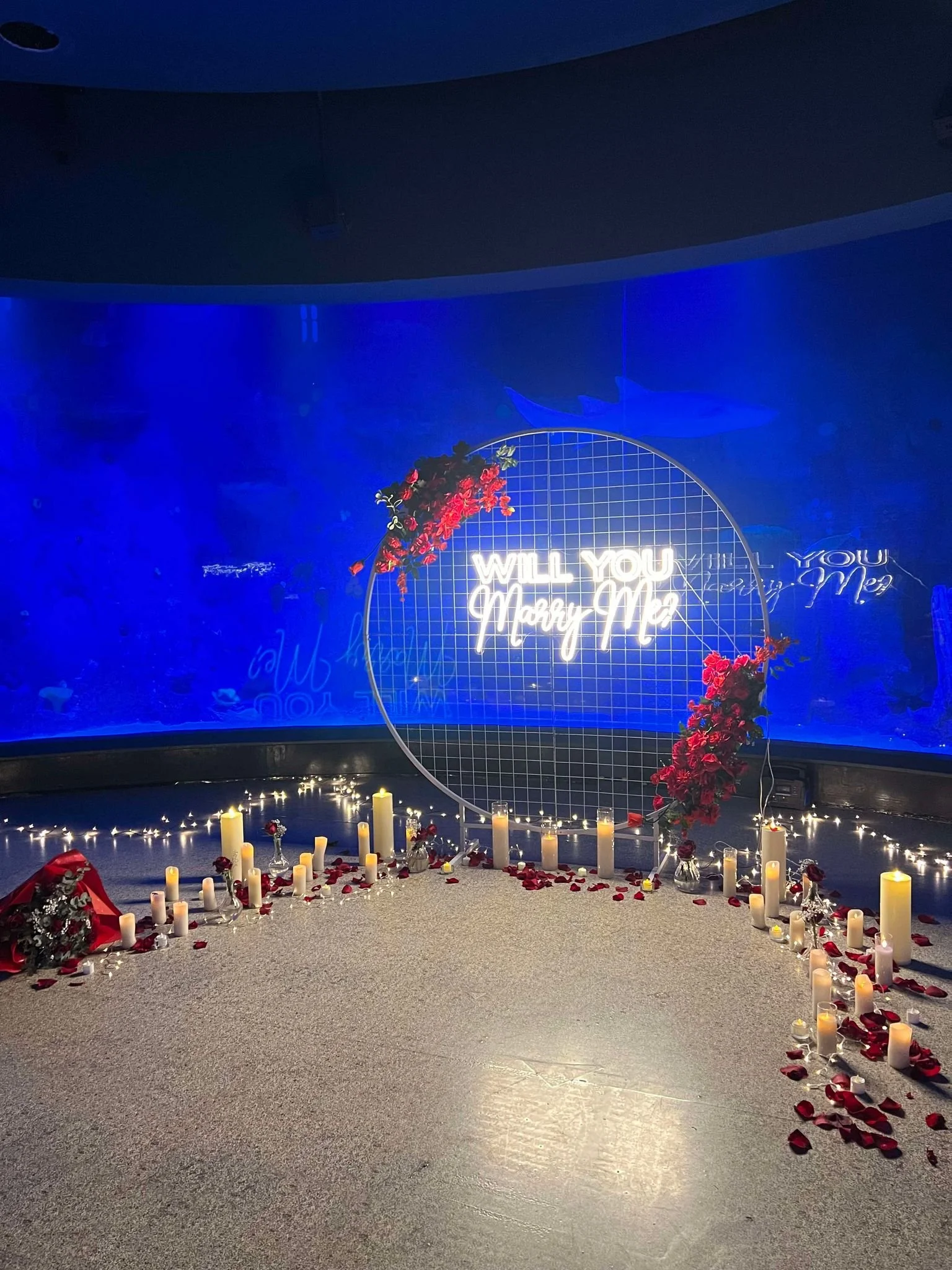 Melbourne_Aquarium_Proposal_Sealife.jpg