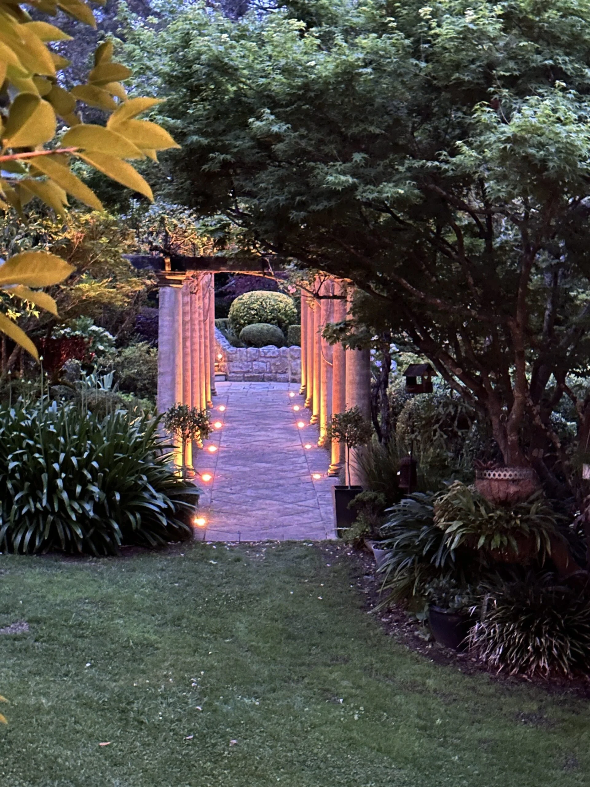 Rose walk garden gueslands romantic sydney proposal garden view
