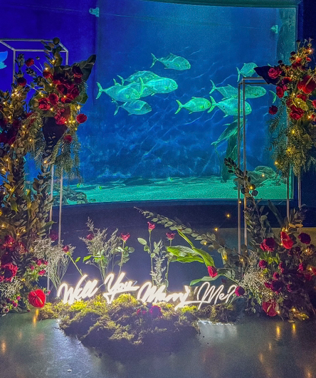 Aquarium.png