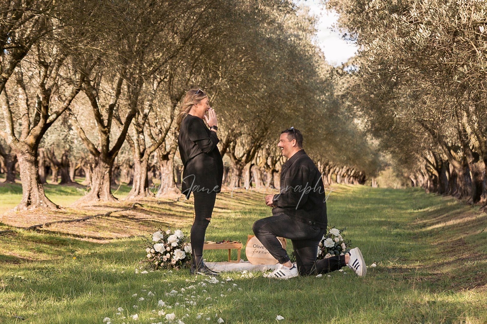Romantic Picnic set up in the hunter valley captured by a proposal photographer