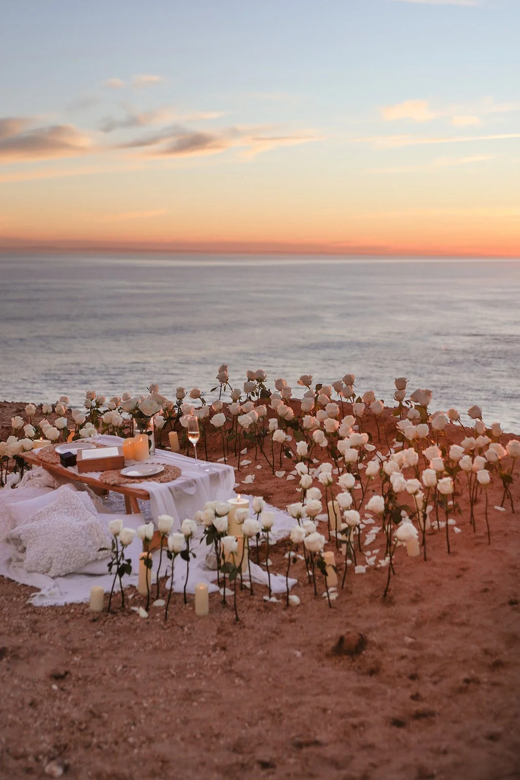 Luxury Picnic with white roses set up on the Mornington Peninsula by Perfect Proposals