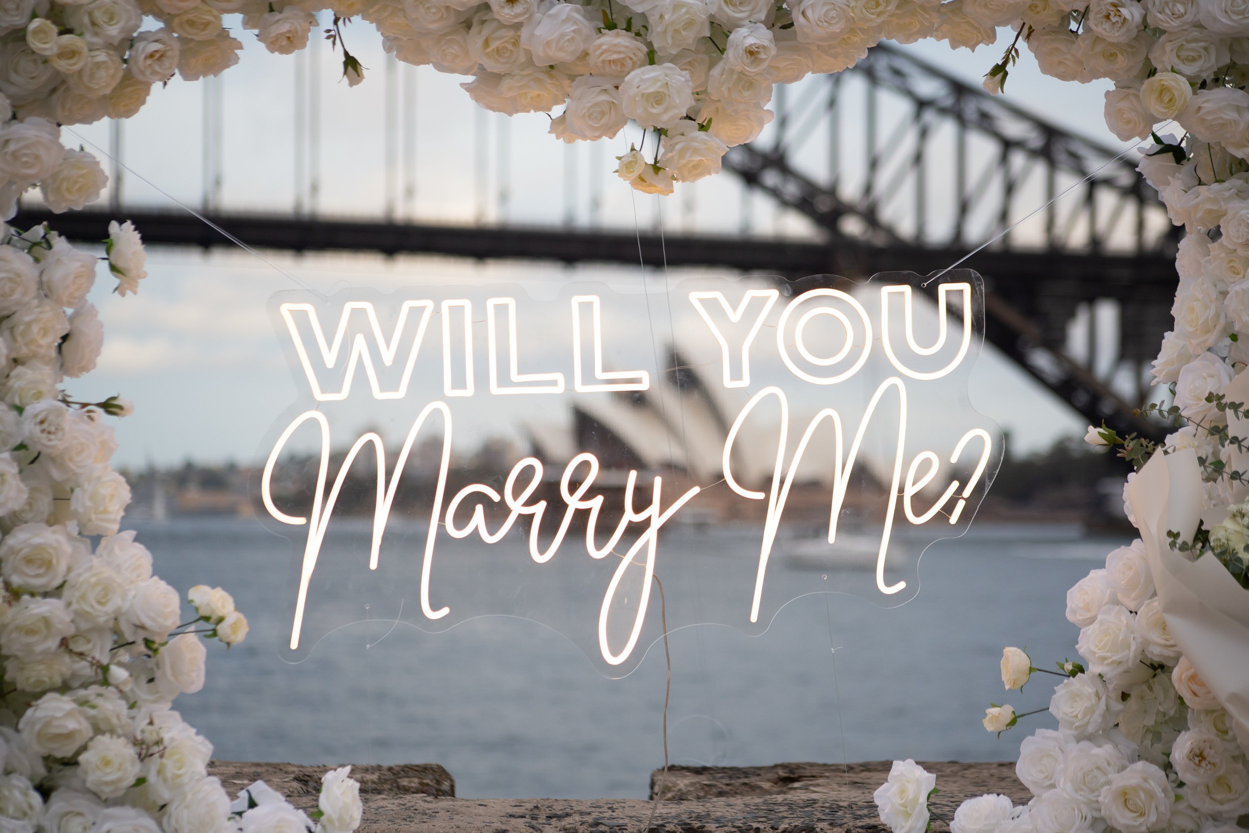 Sydney Lookout for luxury Proposal with Sydney Proposal Photographer
