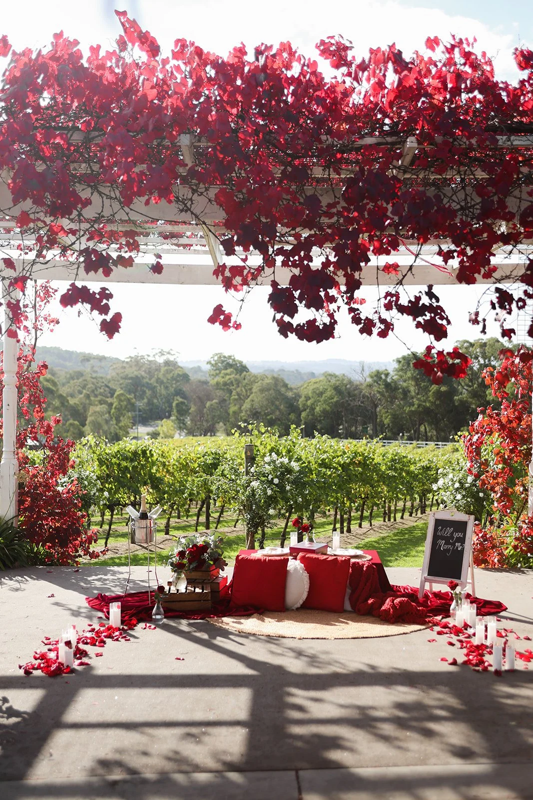 Romantic outdoor setup with a red and white color theme, featuring a table with pillows, candles, and floral arrangements in front of a vineyard, under a pergola covered with red leaves.