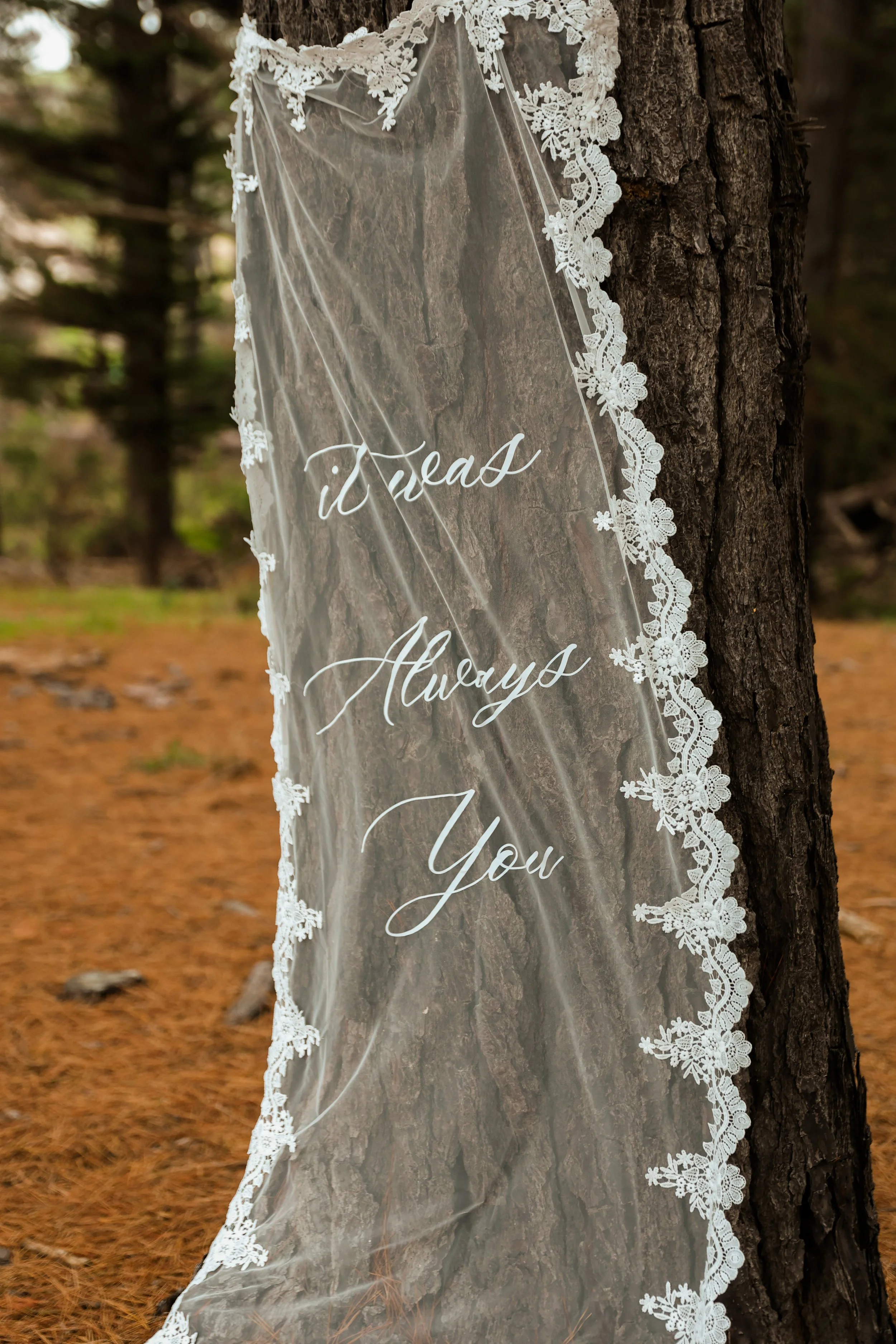 Lace 