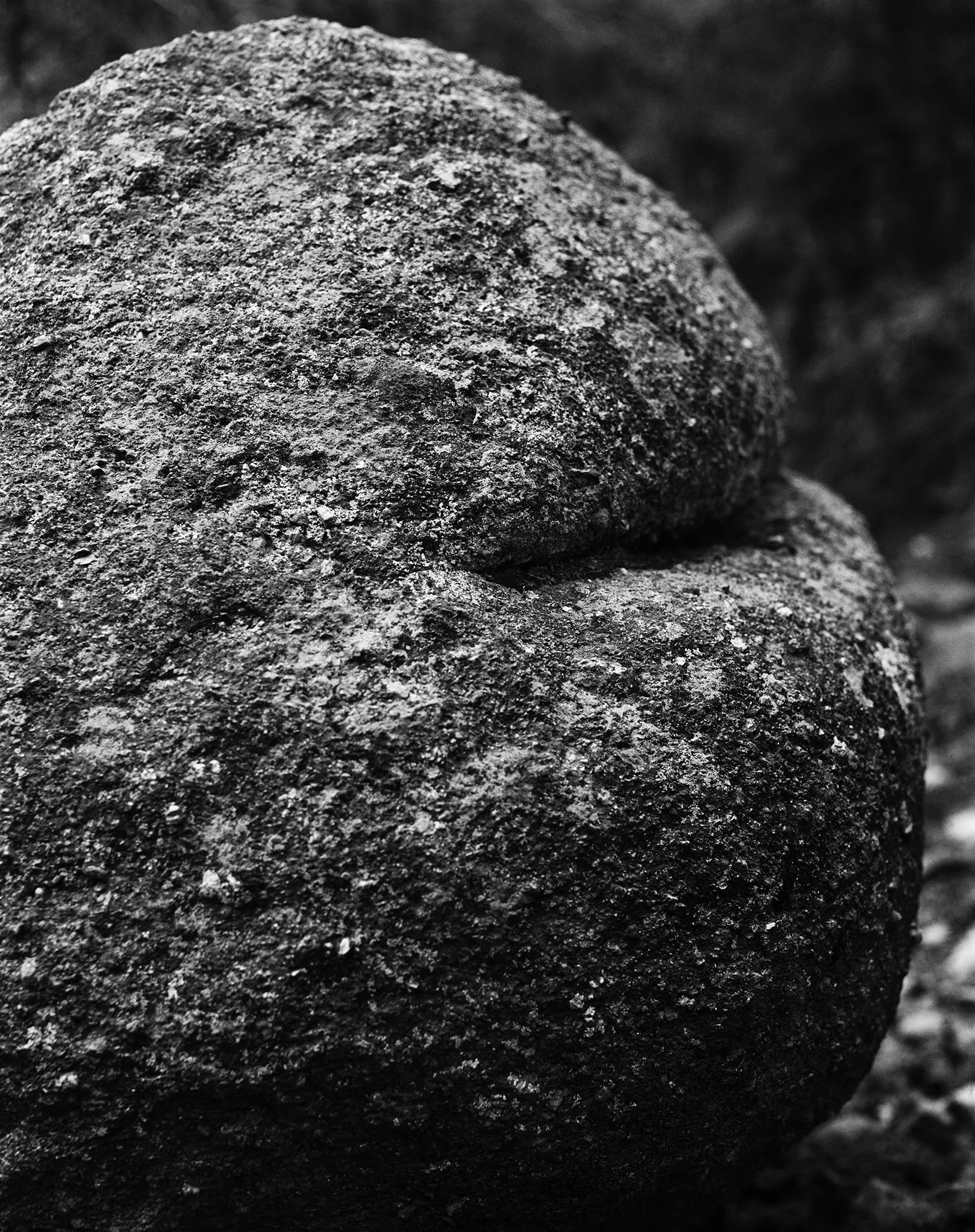 buttRockVertical copy.jpg