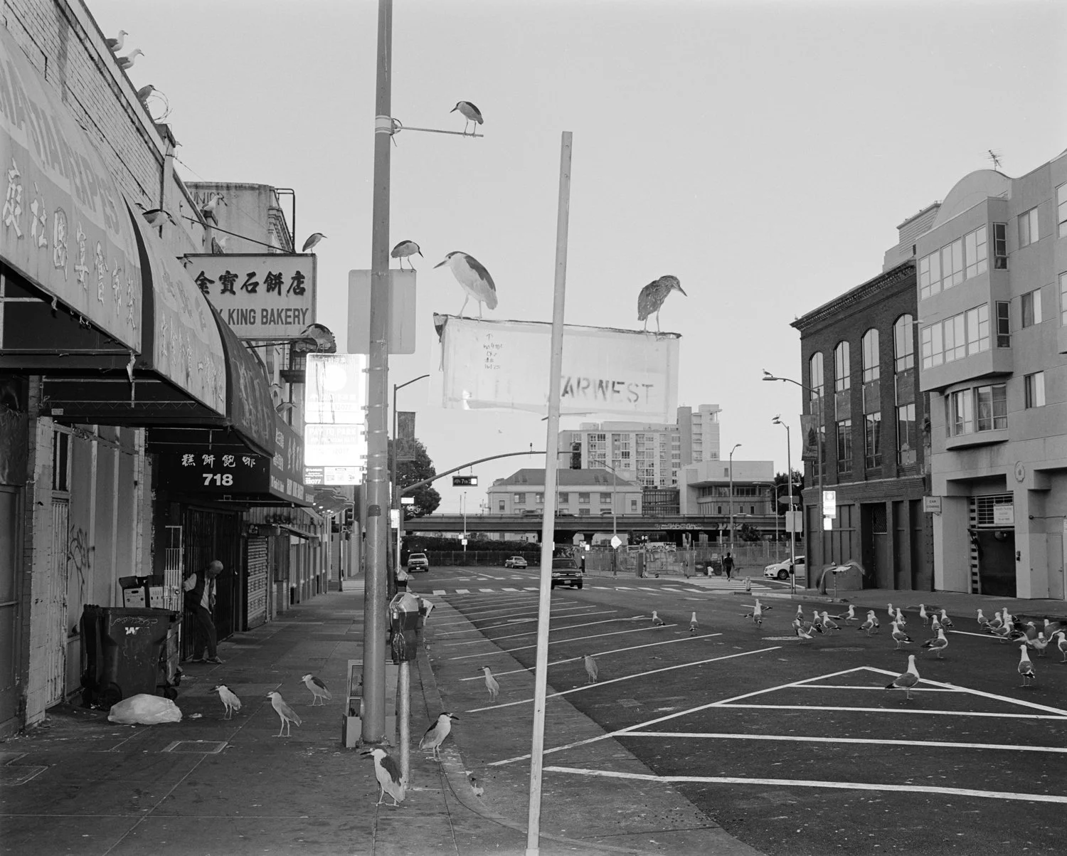 Oakland_2.jpg