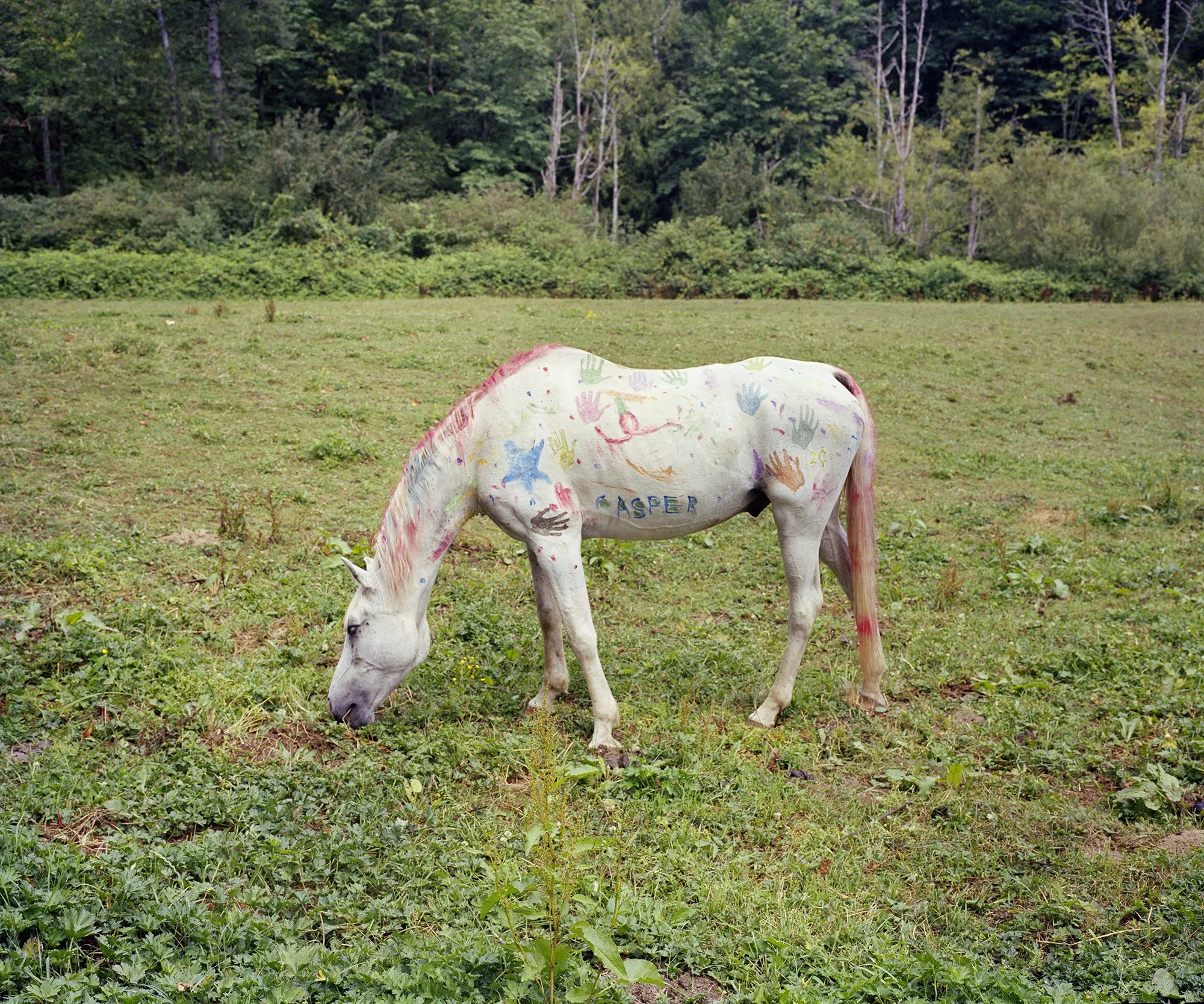 Casper_Horse_LOE 001-Edit copy.jpg