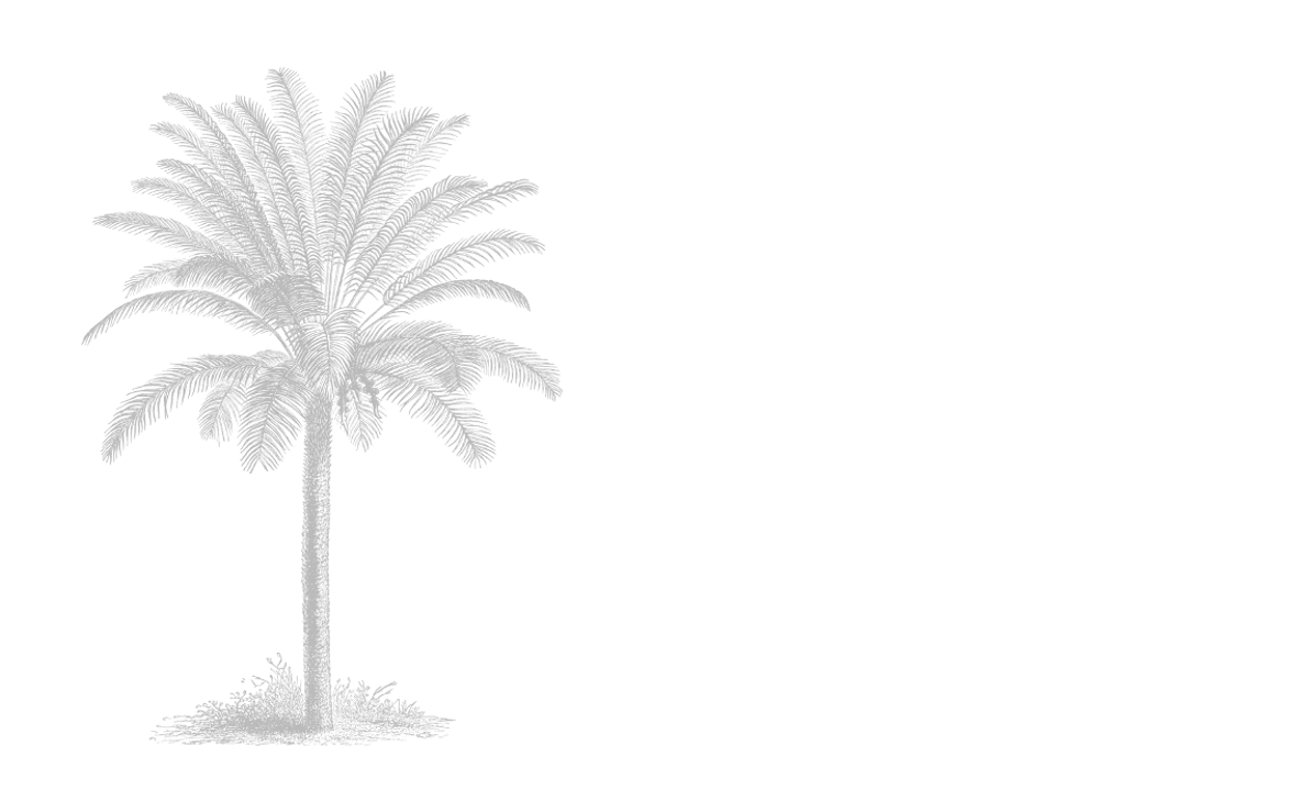 Tree single.png