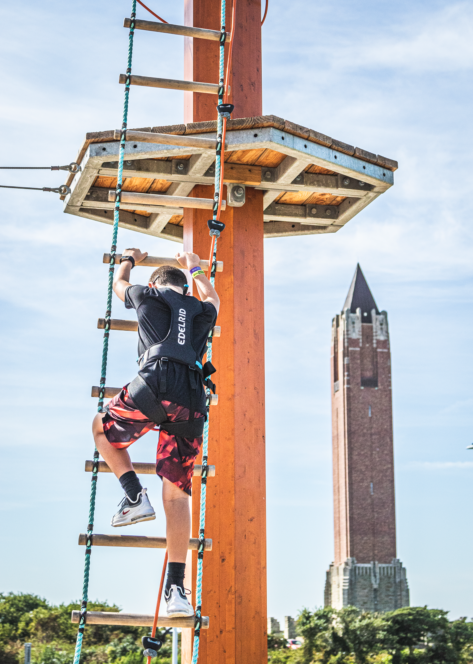 Boy on ladder.png
