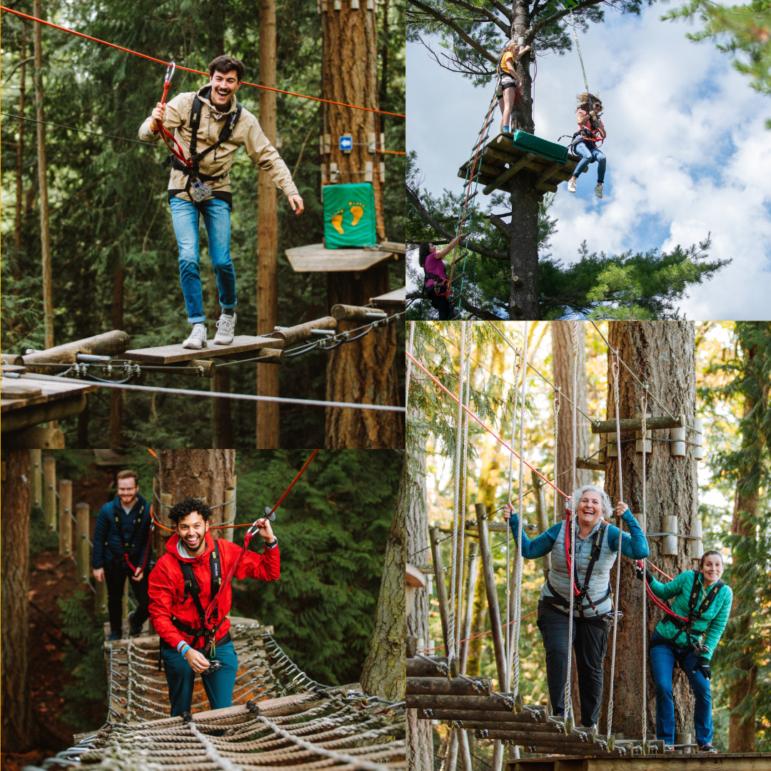 Maple Ridge, BC Canada — Adventure Zipline Course — WildPlay