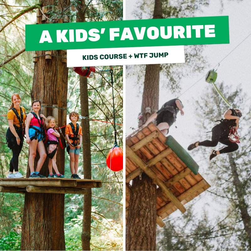 Kids on treetop ropes courses and freefall What's to Fear Jump at WildPlay outdoor adventure park in British Columbia. 