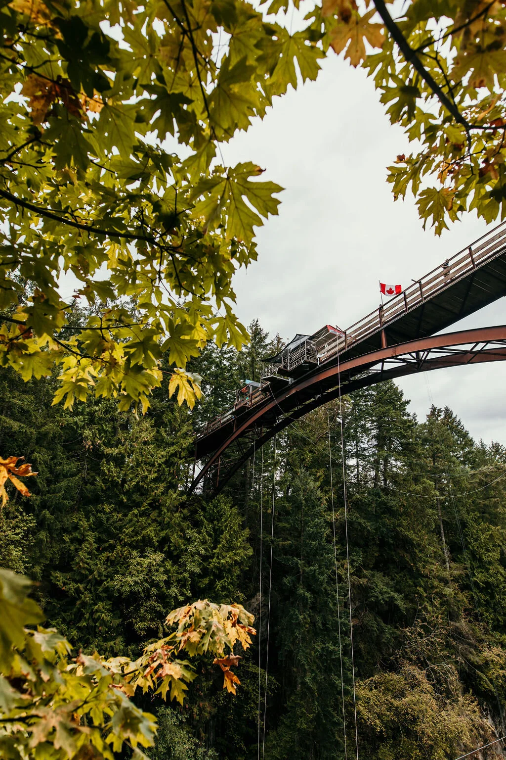 Nanaimo Bungy jumping bridge overlooking the Nanaimo River. A 150-foot freefall drop at WildPlay in Nanaimo, British Columbia.