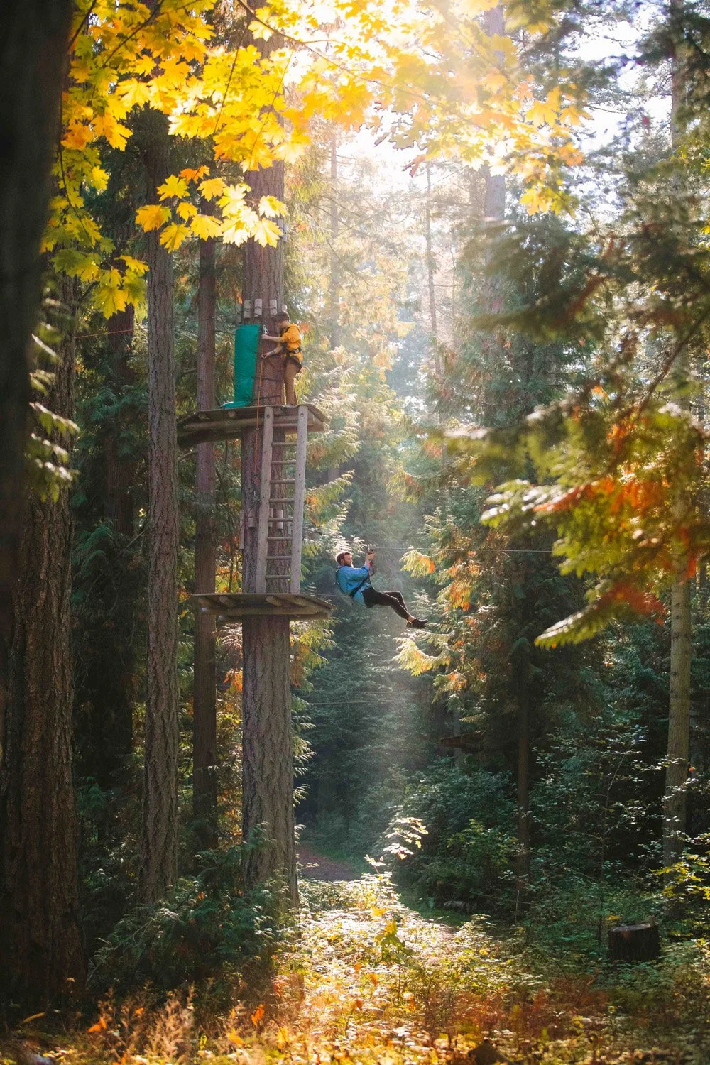 Man ziplining through treetop adventure ropes courses at WildPlay in Maple Ridge BC.