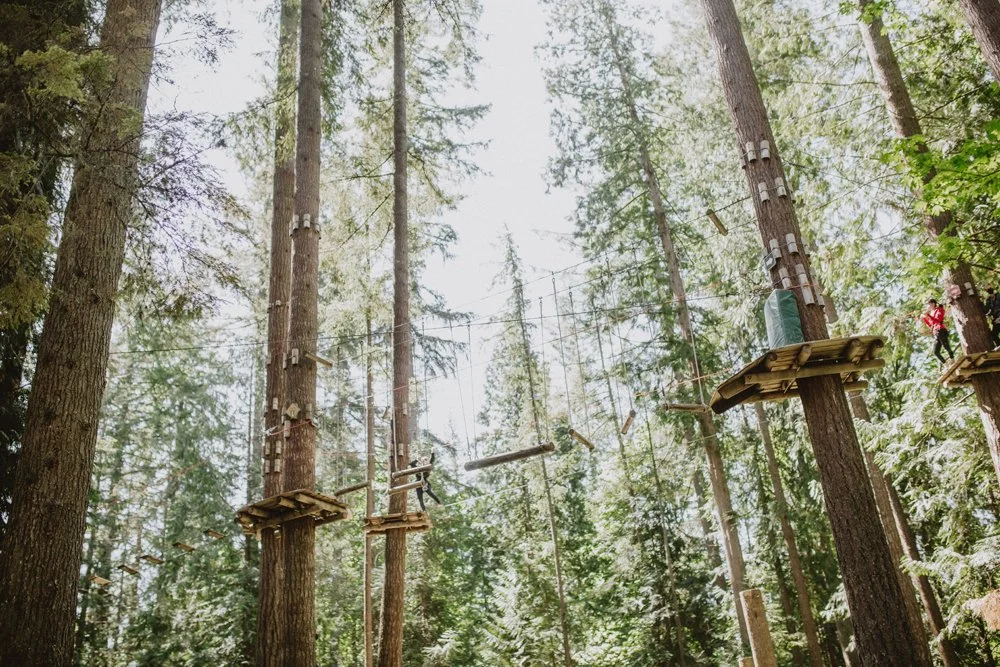 Tree-top adventure course with wooden platforms and ropes among tall trees in a forest.