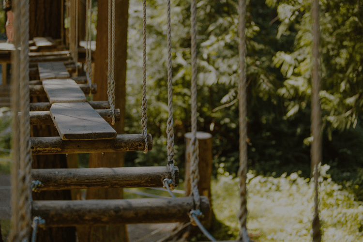 WildPlay's Anti-Gravity Camp — WildPlay