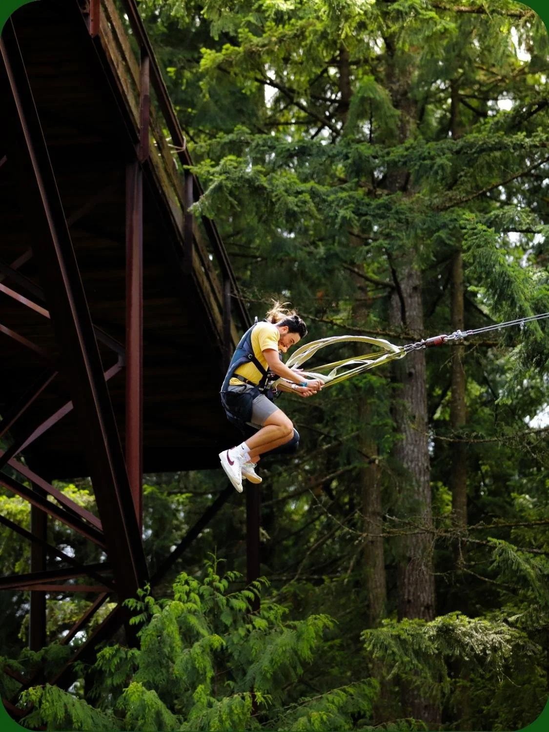 WildPlay Adventure Parks | Treetop Adventures & Ziplines
