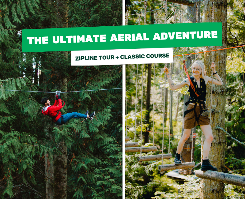 The Ultimate Aerial Adventure Zipline + Classic Combo