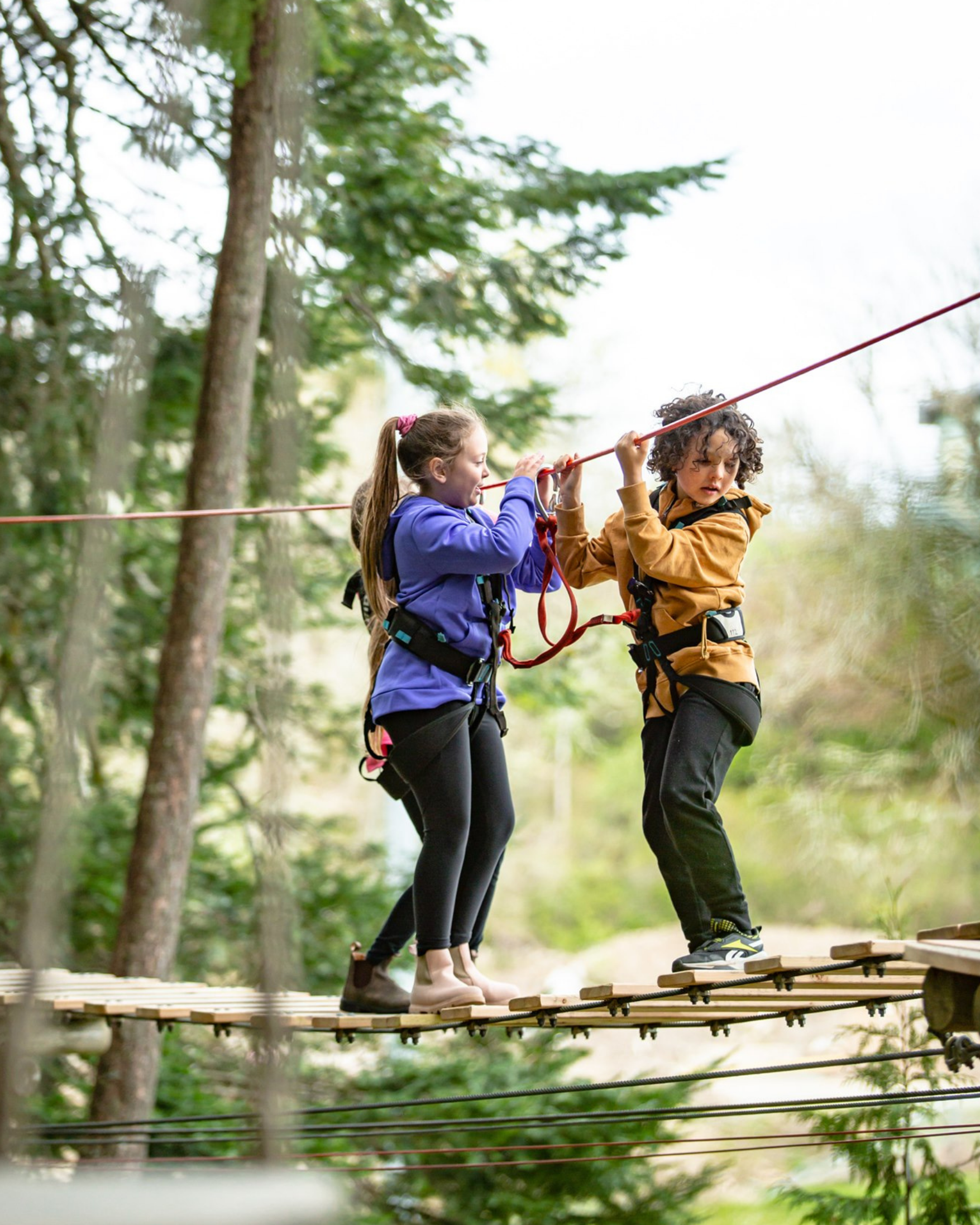Wildplay camps 4.png