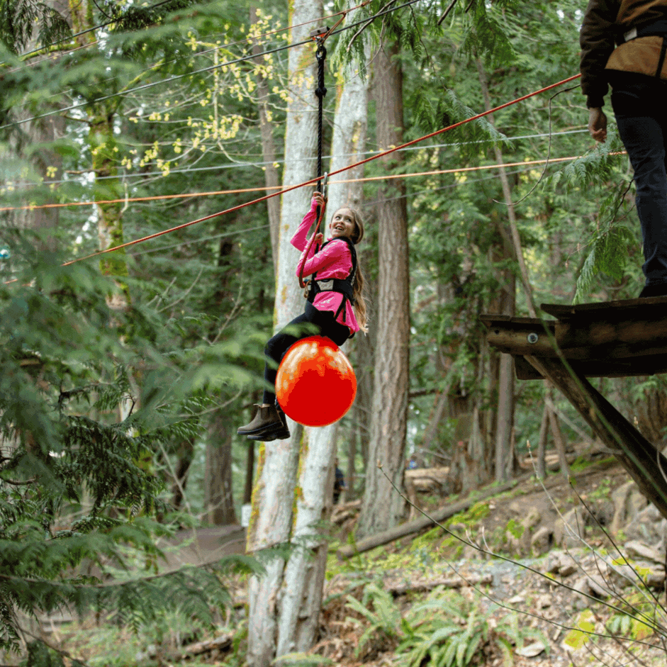 Kids on treetop adventure ropes courses at WildPlay Maple Ridge an outdoor adventure park in British Columbia.