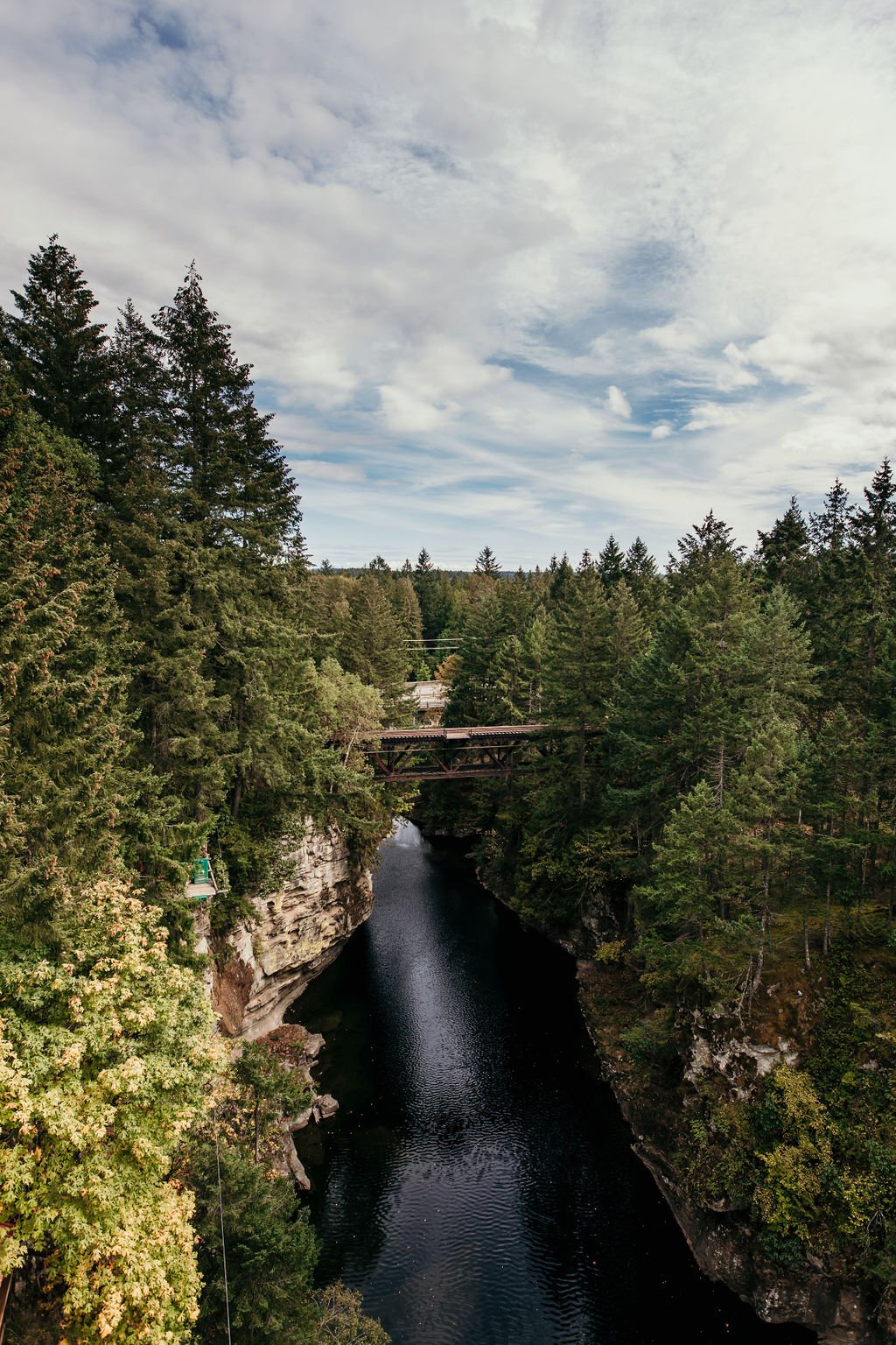 Rob-Anzit-Photography-Banff-Alberta-Canada-Travel-Forest-294-2.jpg