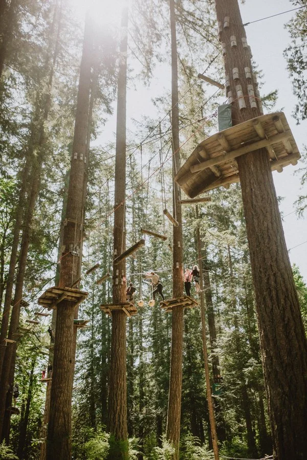 Children walking on wooden platforms and ropes in a tall forest adventure park.