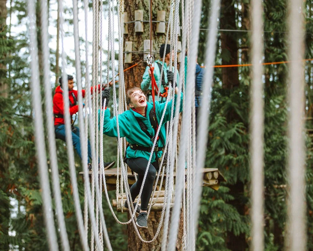 Children in harnesses walking on a high ropes course among tall trees in a forest.