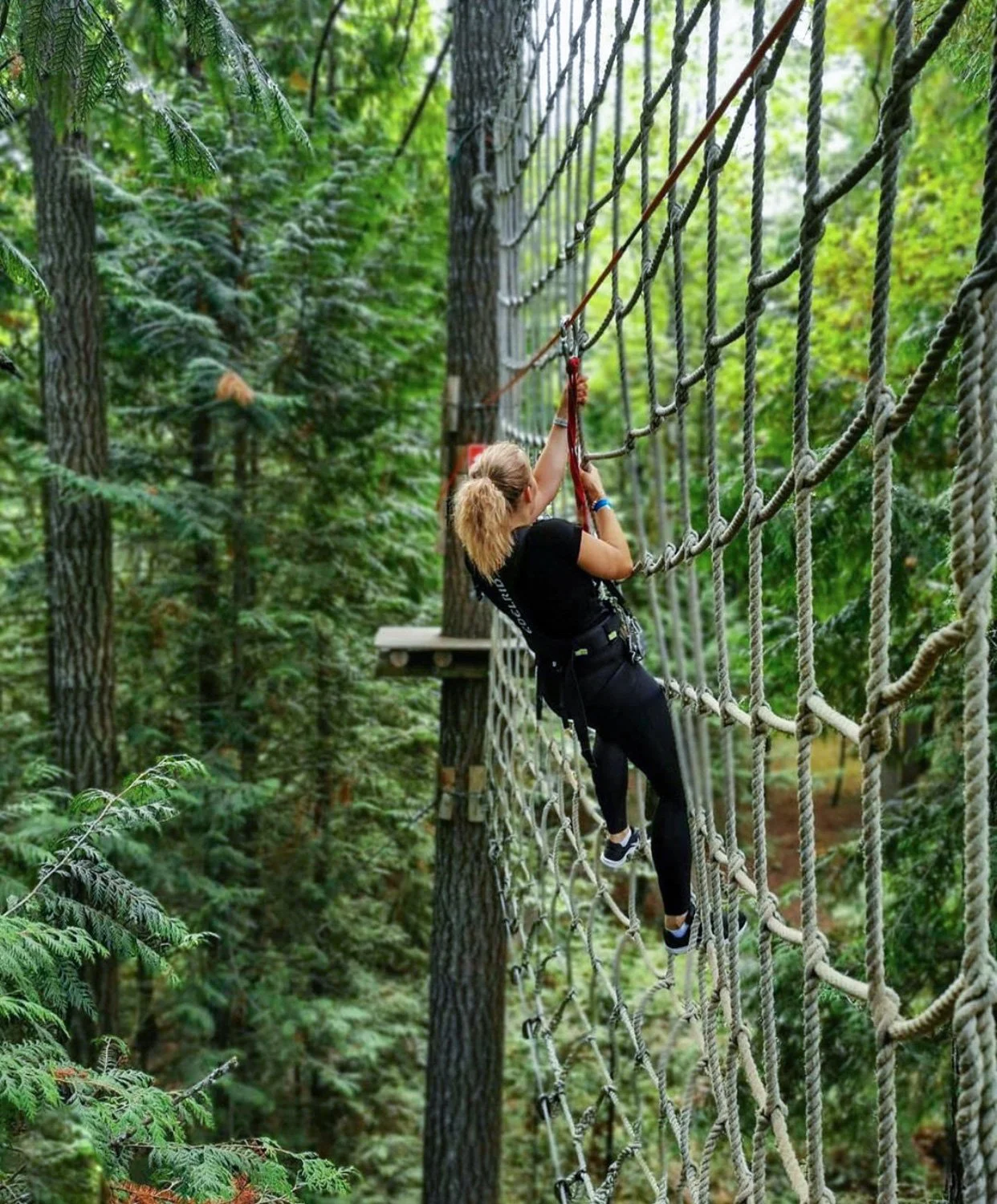 A woman is climbing a rope net obstacle in a forested adventure course, wearing a harness and safety gear.