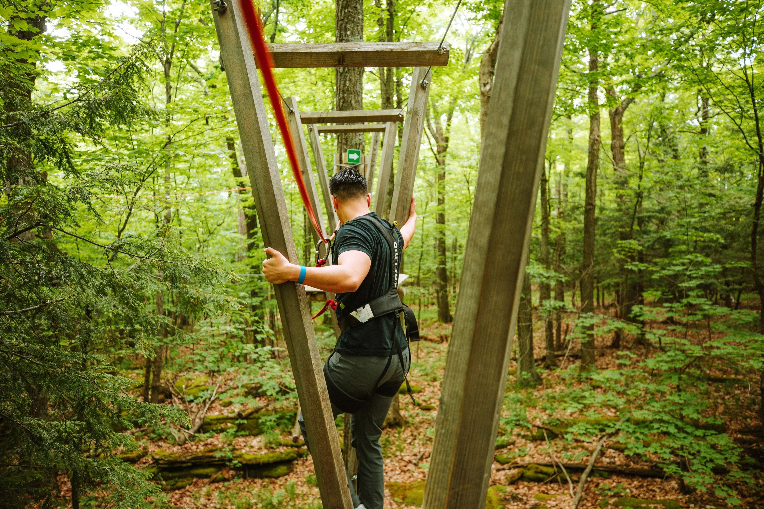 A person wearing a black t-shirt and gray pants is climbing a wooden ladder in a dense green forest. The person is harnessed for safety and holding onto the ladder with one hand. The background contains numerous trees and green foliage.