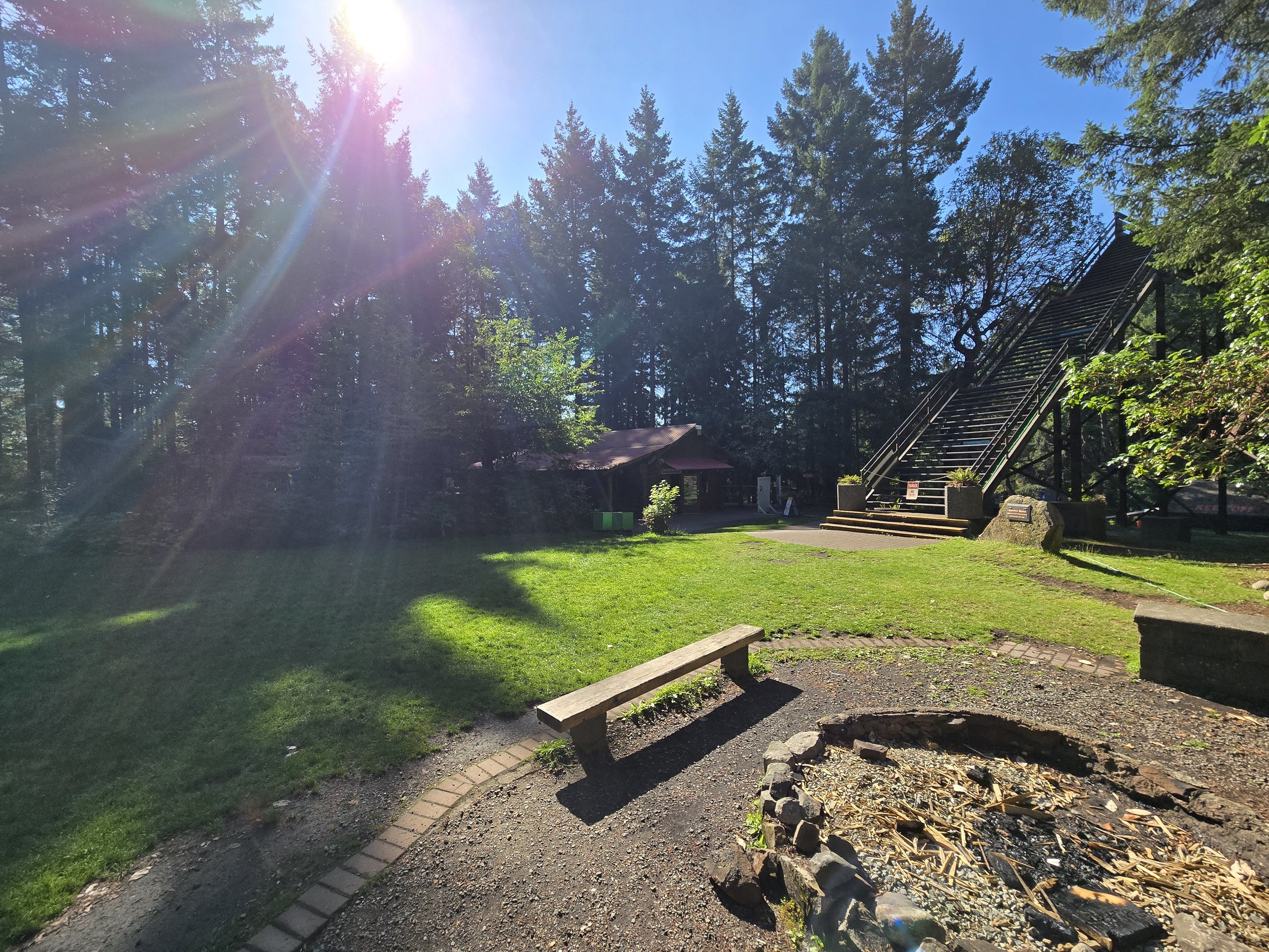 20250717_093643.jpg