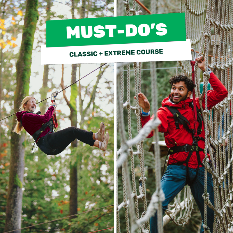 Image of guests on ziplines and adventure ropes courses at WildPlay outdoor adventure park in Nanaimo, British Columbia. 