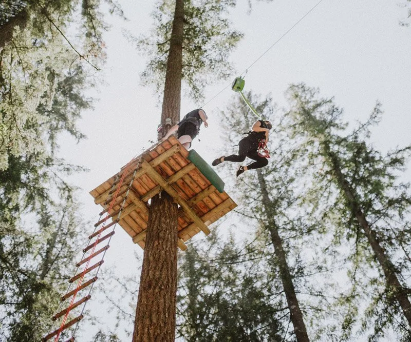 Two children on a treehouse in a forest, one child is climbing the ladder and the other is swinging from a zip line.