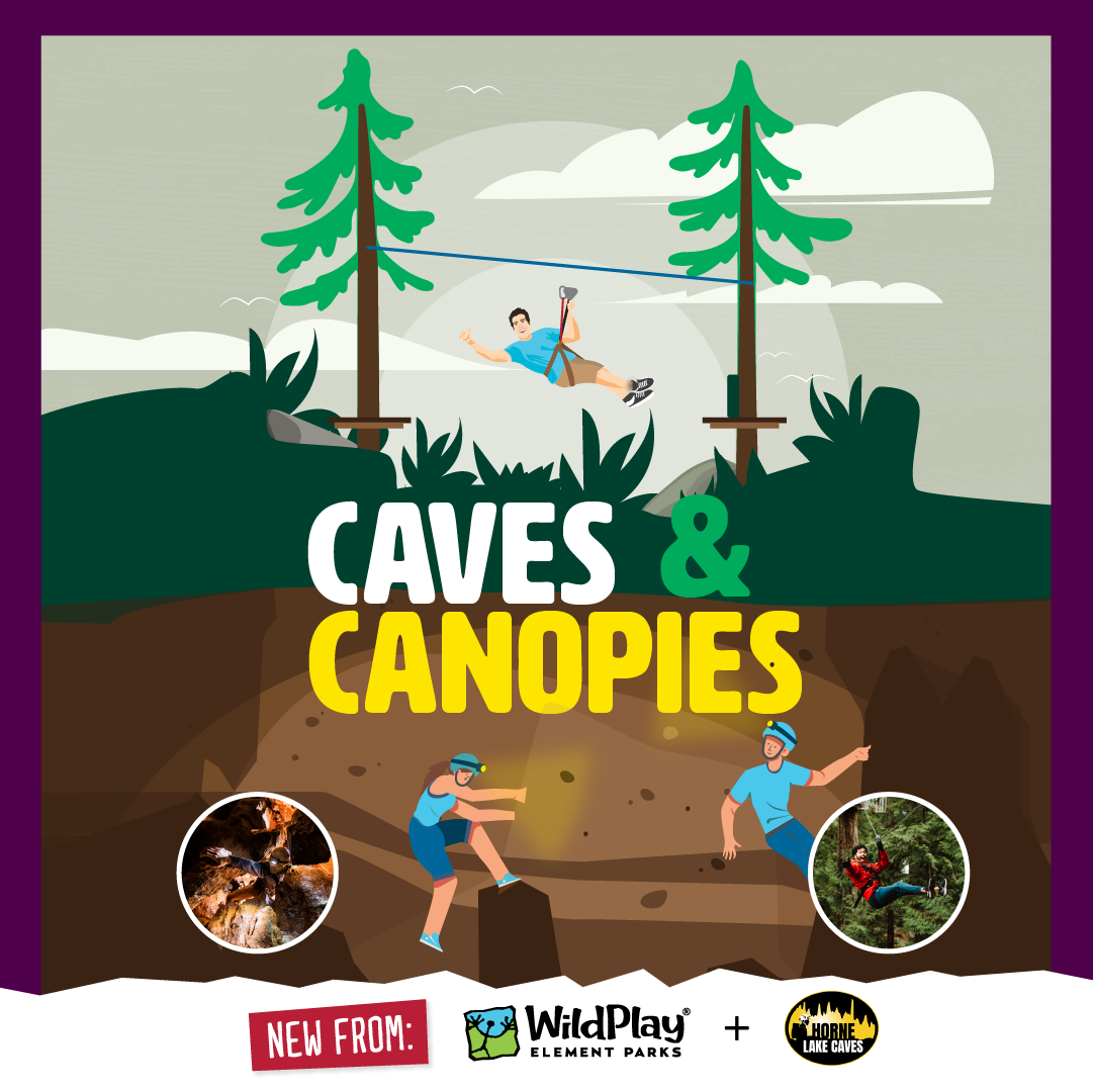 Illustration of a person ziplining between trees, with two other people exploring a cave. The text reads "Caves & Canopies" and includes logos for WildPlay and Horne Lake Caves.
