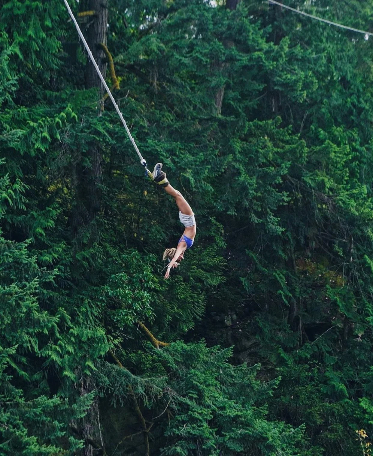 A person in athletic clothing on a zip line above a dense green forest.