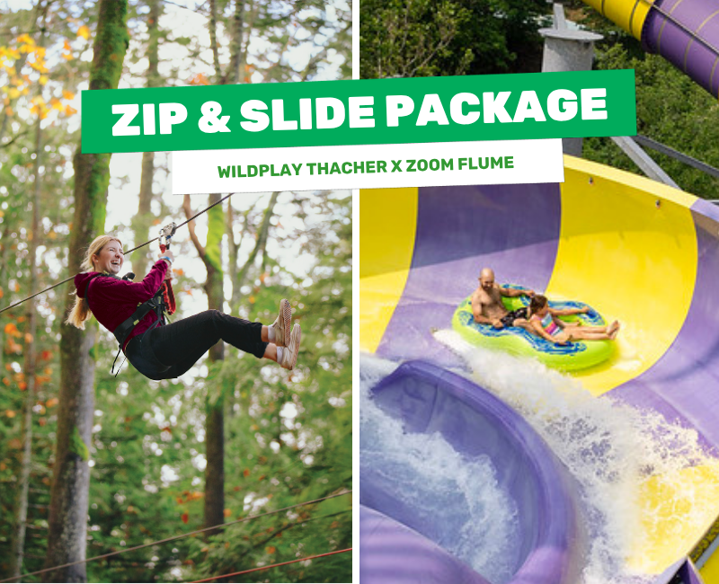 Woman on zipline at WildPlay Element Parks Thacher beside a family on a waterslide at Zoom Flume waterpark in Albany.
