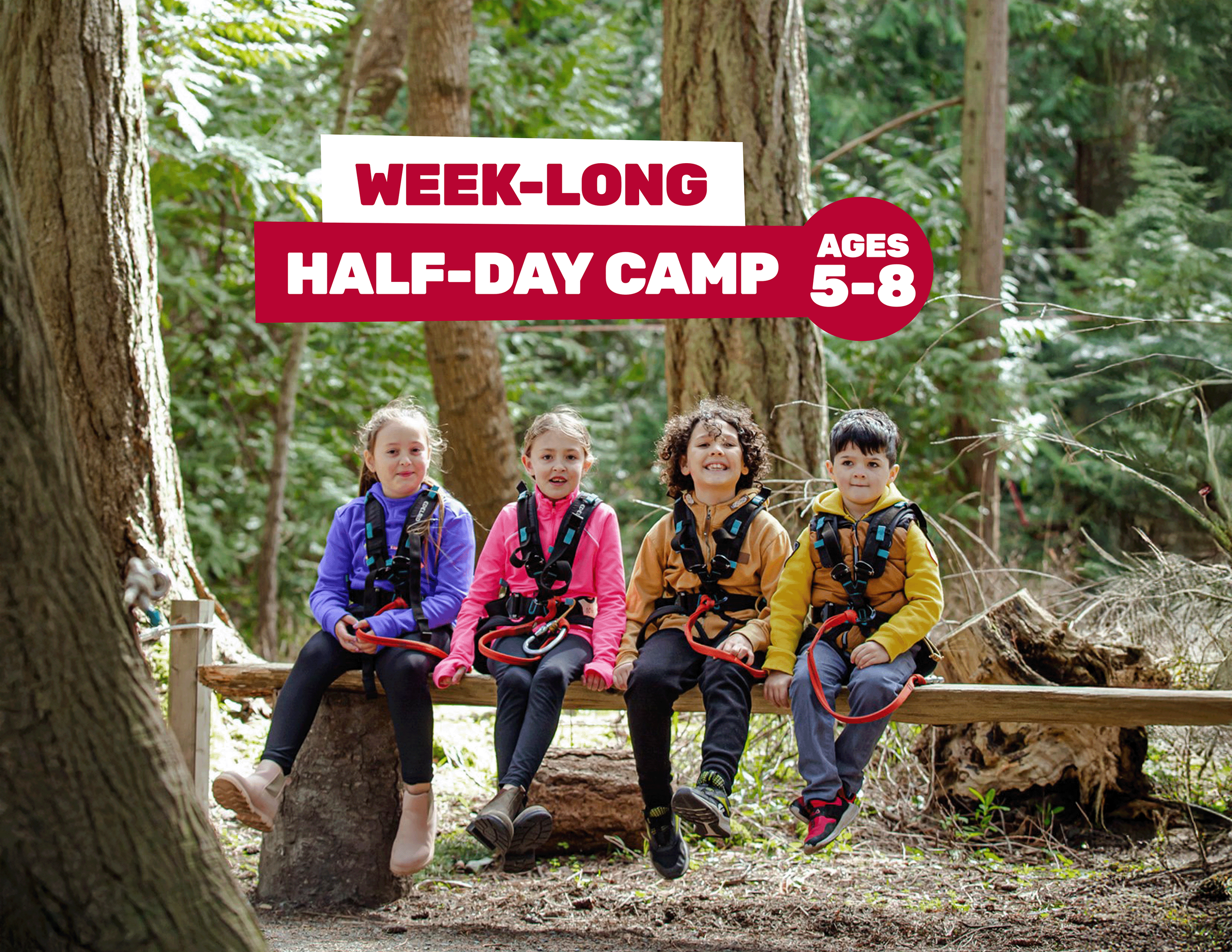 kids in harness ready to adventure at WildPlay an aerial adventure park in British Columbia Victoria Maple Ridge Nanaimo