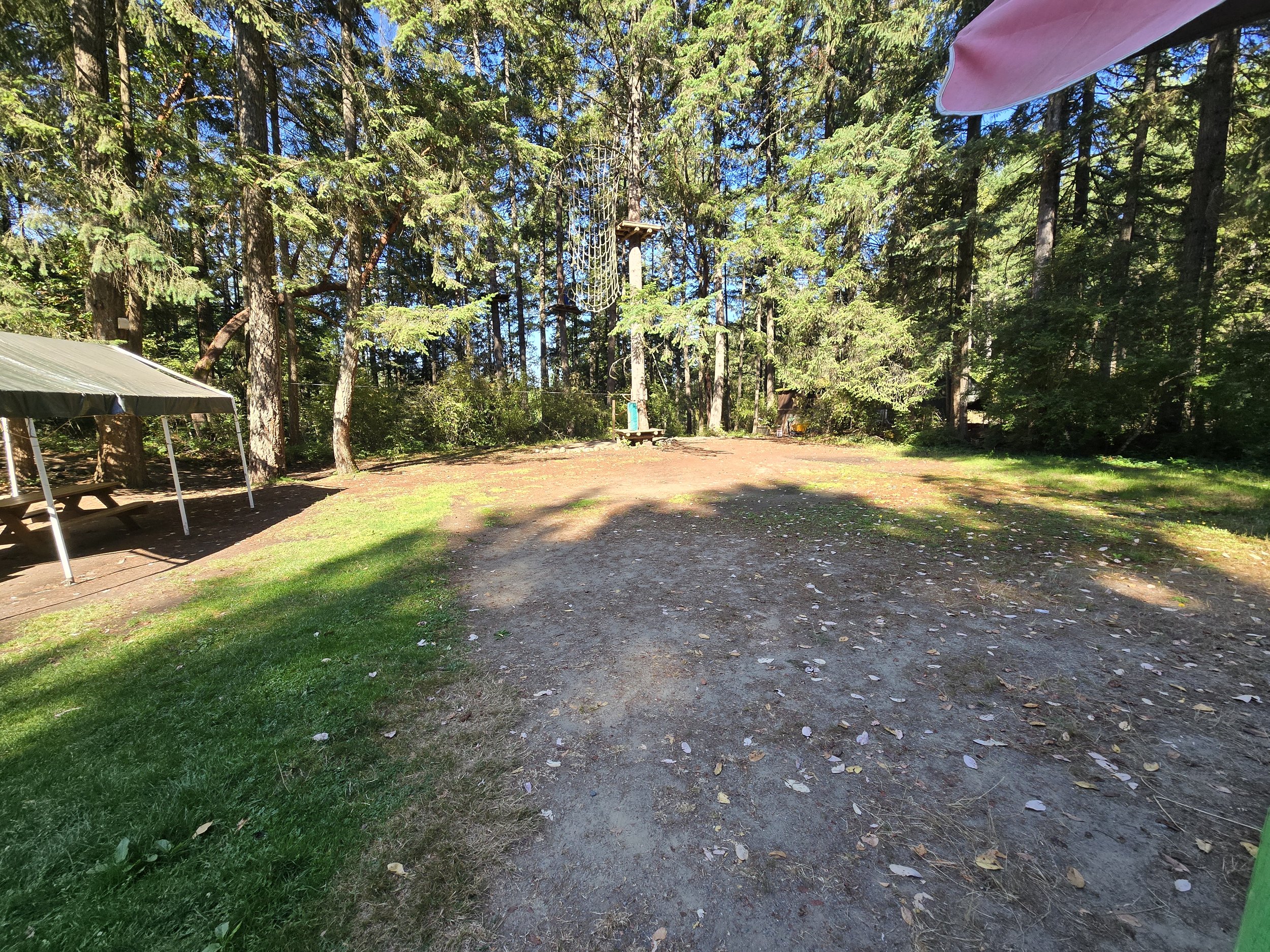 20250717_093745.jpg