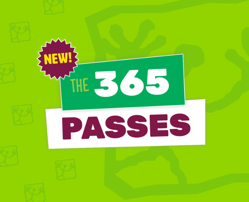 Bright Green Graphic with the words NEW the 365 Passes displayed and scattered WildPlay logos.