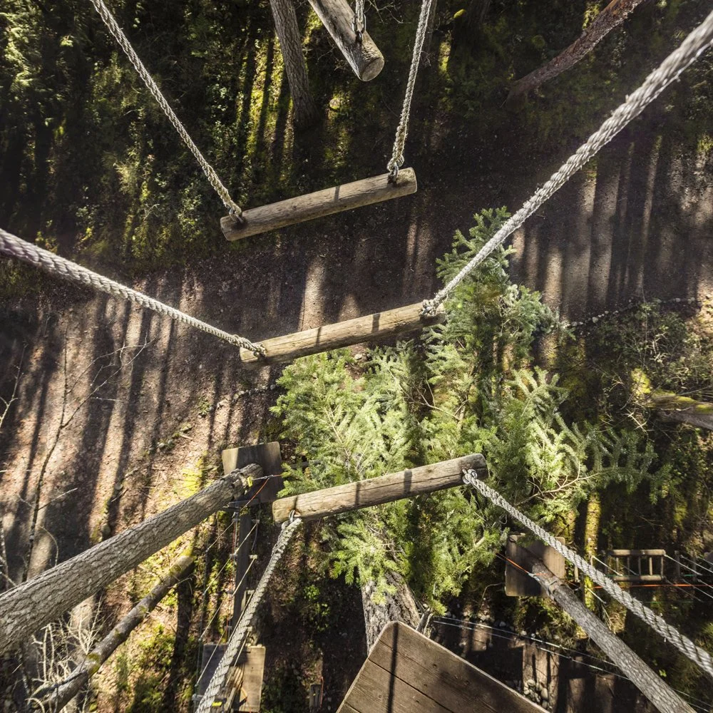 Suspension bridge with wooden planks and ropes in a forest surrounded by tall trees and greenery.