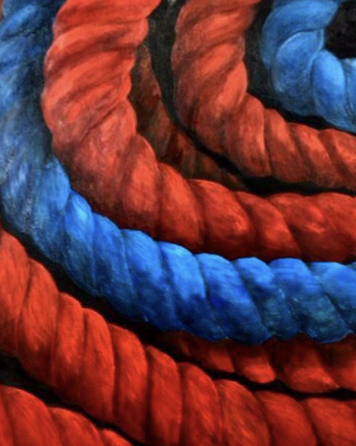 Close-up of intertwined red and blue braided ropes or cords.