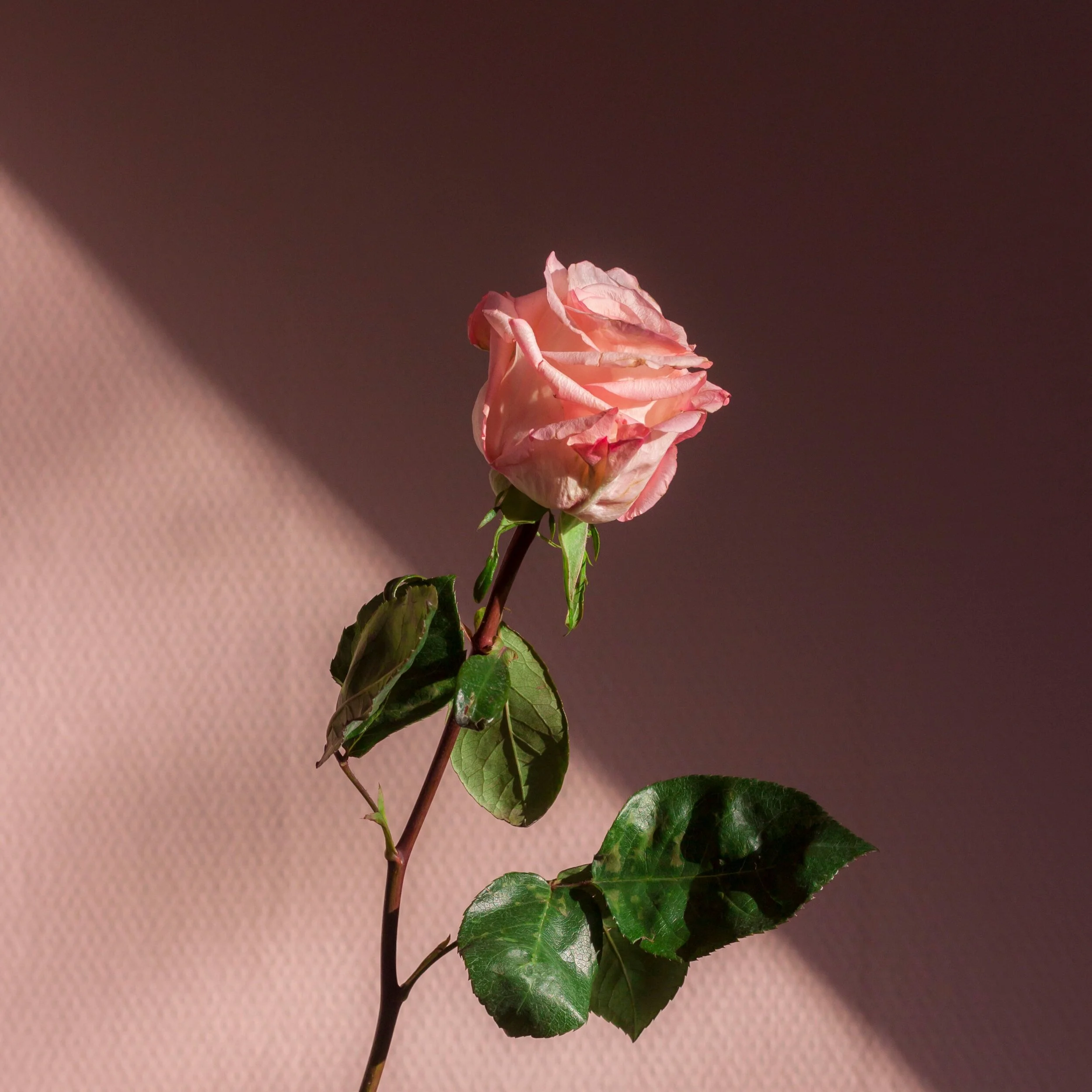 Tips for Healing Cancer