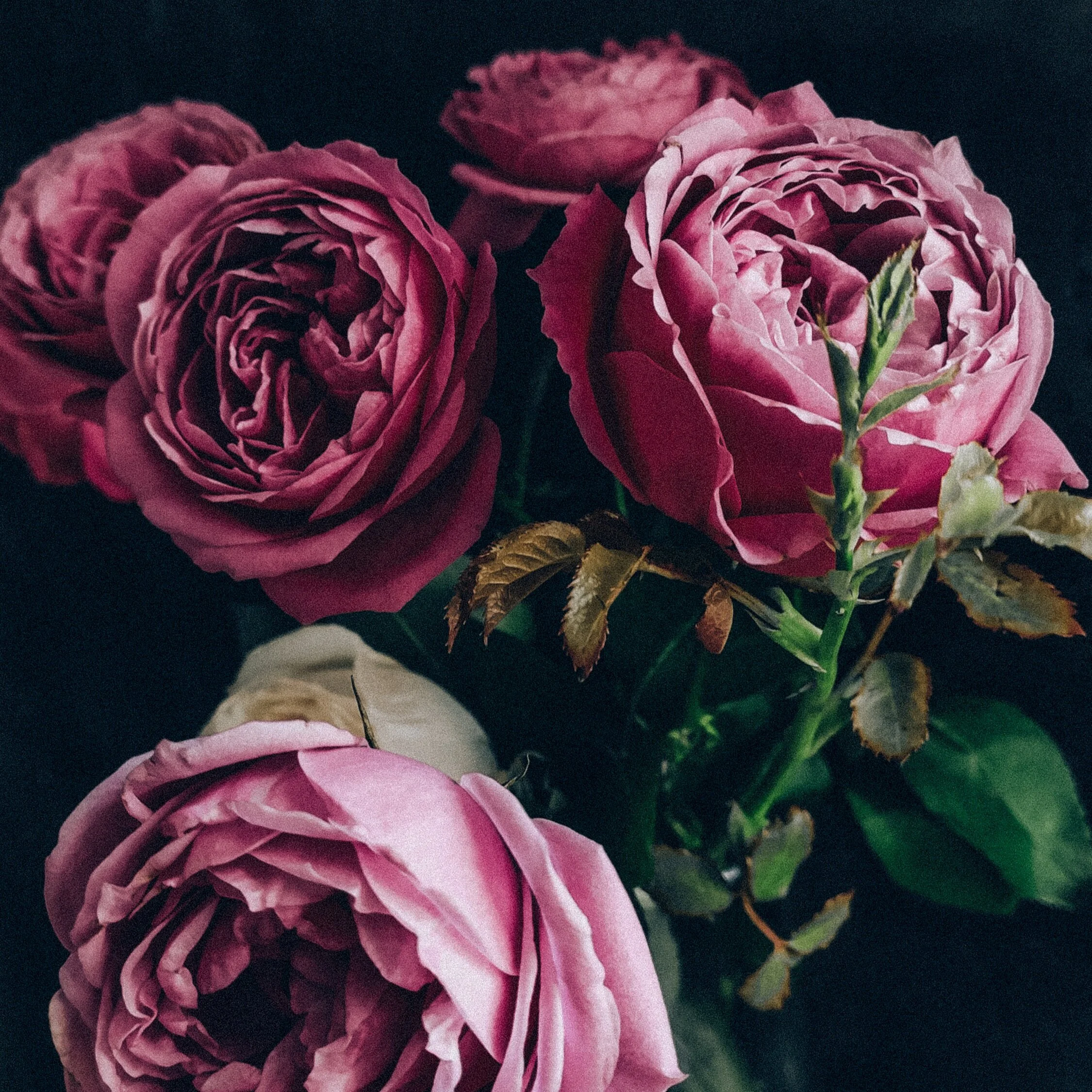 Anger is one of the quickest energies to dirty our system