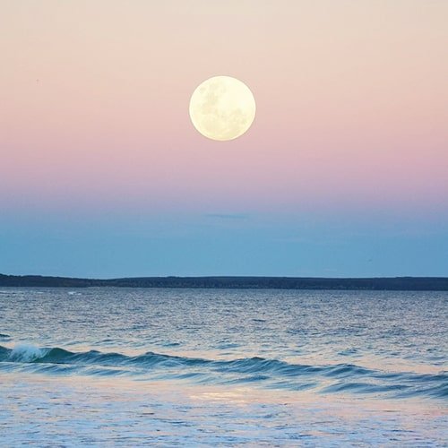 Full Moon Rituals: How to Prepare for The Full Moon
