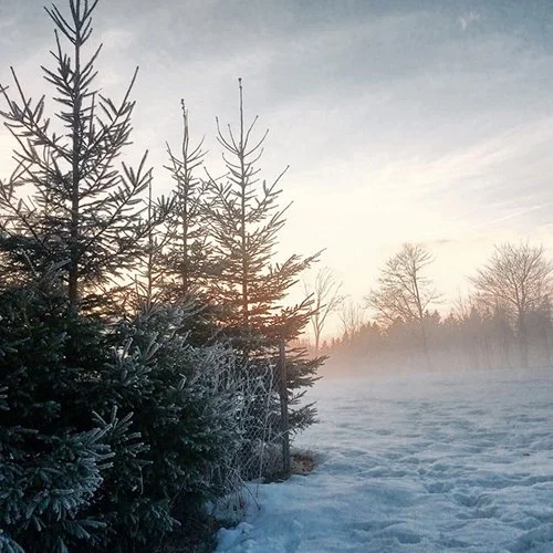 Winter Solstice: A Time For Reflection