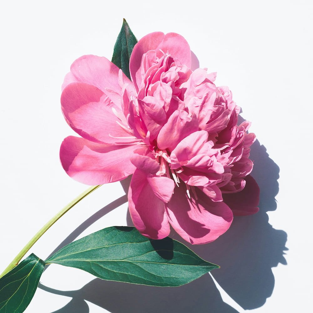 Unlocking Healing Through Self-Love and Self-Worth