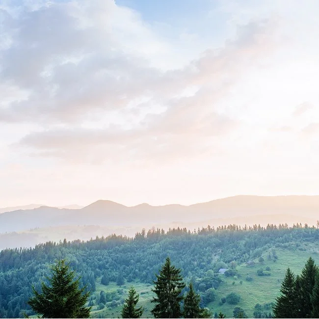 learn how to observe air, tree and earth prana