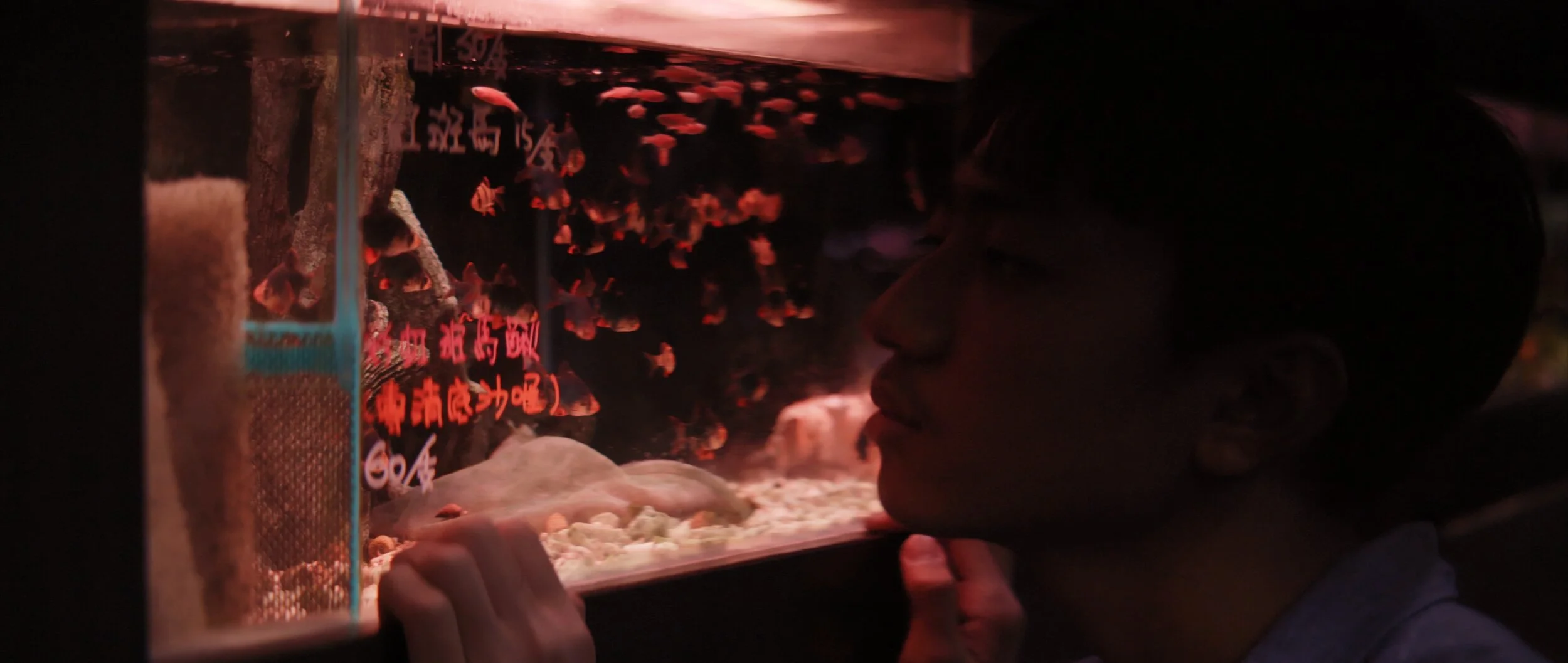 Zebrafish_1.23.1.jpg