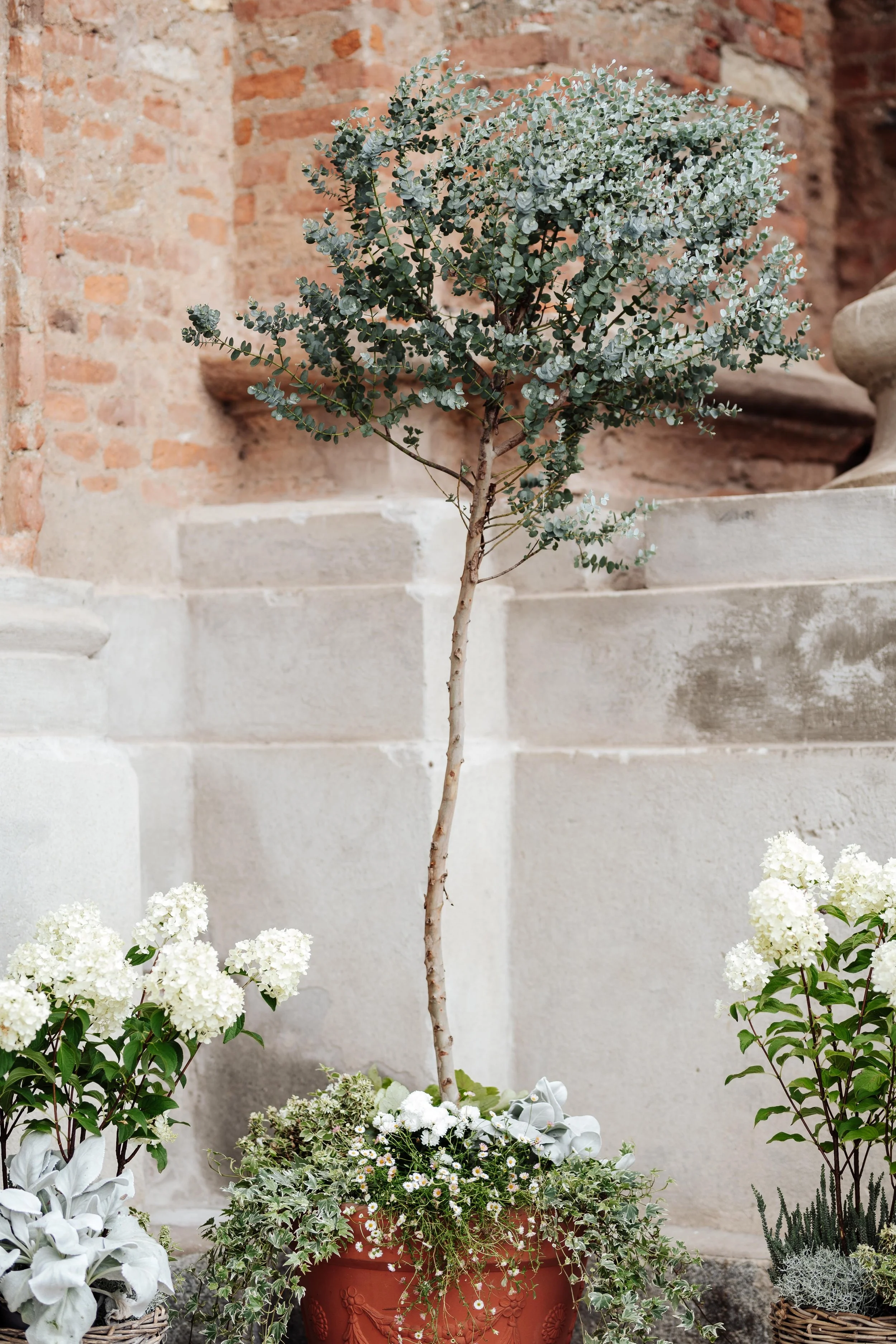 WhatsApp Image 2026-01-10 at 09.23.37.jpeg