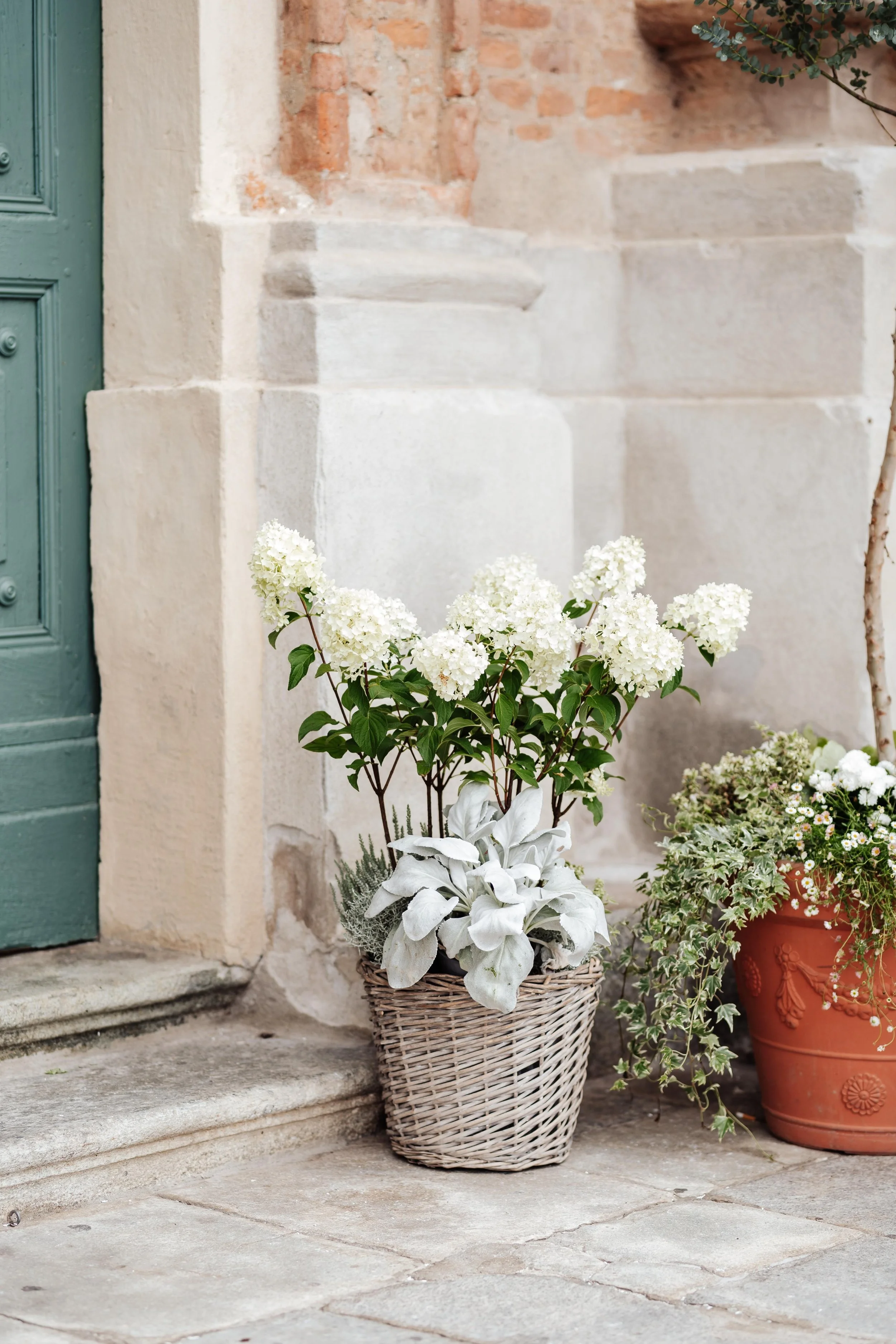 WhatsApp Image 2026-01-10 at 09.23.37 (3).jpeg